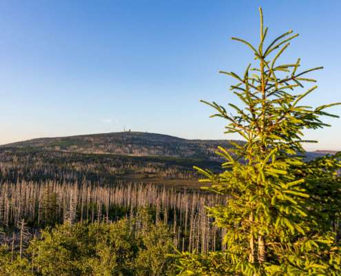 Brockenblick von der Achtermannshöhe im Harz