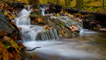 Fotowanderung durch das Bodetal
