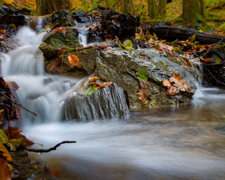 Fotowanderung durch das Bodetal