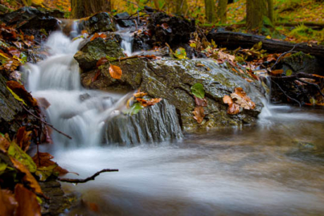 Fotowanderung durch das Bodetal