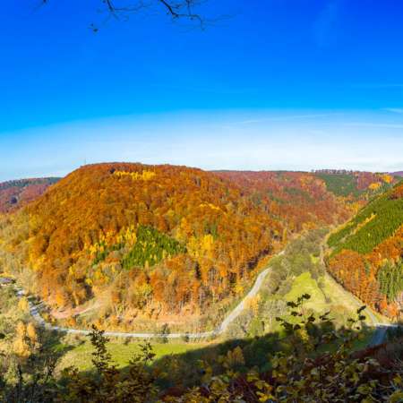 Herbst-Fotowanderung zum Dreitälerblick im Naturpark Südharz