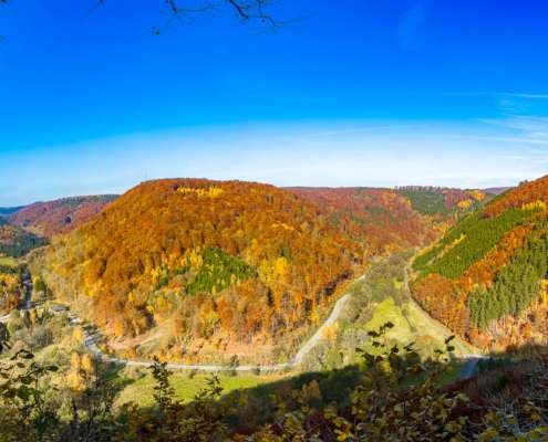 Herbst-Fotowanderung zum Dreitälerblick im Naturpark Südharz