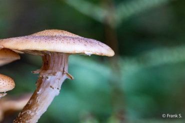 Fotokurs-Wanderwoche im Berchtesgadener Land by Frank S.