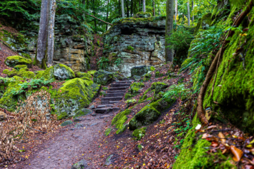 Fotoreise Eifel - Teufelsschlucht