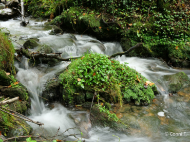 Fotoreise Eifel und Kleine Luxemburger Schweiz