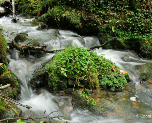 Fotoreise Eifel und Kleine Luxemburger Schweiz