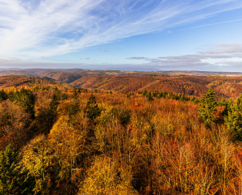 Herbst-Workshop-Wochenende 2025 im Harz