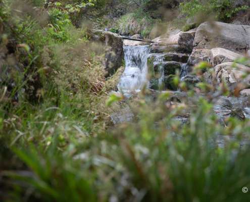 Fotokurs Langzeitbelichtung im Harz mit Foto-Wandern.com