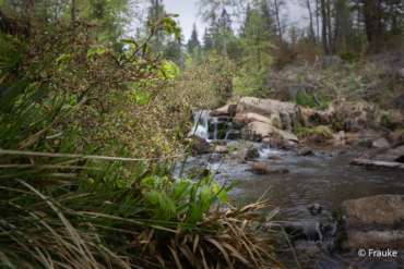 Fotokurs Langzeitbelichtung im Harz mit Foto-Wandern.com