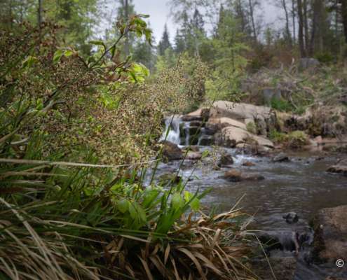 Fotokurs Langzeitbelichtung im Harz mit Foto-Wandern.com