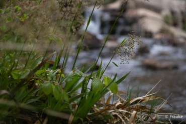 Fotokurs Langzeitbelichtung im Harz mit Foto-Wandern.com