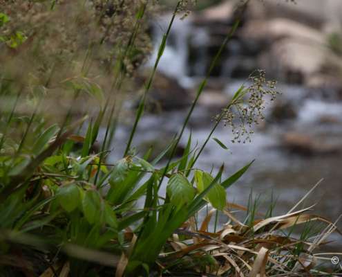 Fotokurs Langzeitbelichtung im Harz mit Foto-Wandern.com
