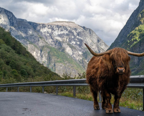 Fotoreise Norwegen mit Foto-Wandern.com