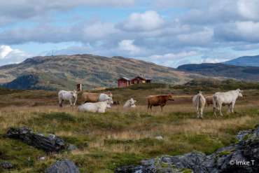 Fotoreise Norwegen mit Foto-Wandern.com