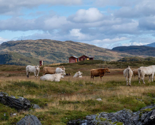 Fotoreise Norwegen mit Foto-Wandern.com