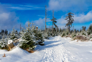 Winter-Fotowanderungen im Harz mit Foto-Wandern.com