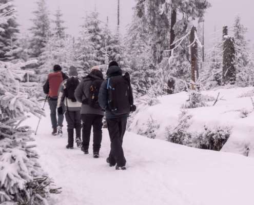 Winter-Fotoworkshop-Wochenende im Harz
