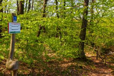 Fotowanderung auf dem Karstwanderweg