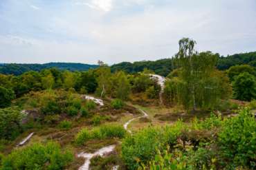 Fotowworkshop-Wochenende im Harz - Mai 2026 auf dem Karstwanderweg