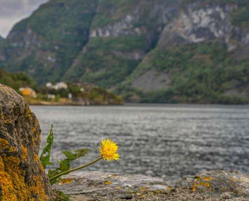 Impression in Aurland (3) - Fotoreise Norwegen mit Foto-Wandern.com - copyright Juergen Milnik