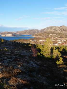 Nordlicht-Fotoreise Norwegen