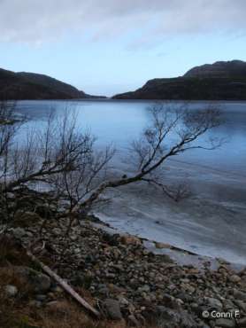 Nordlicht-Fotoreise Norwegen