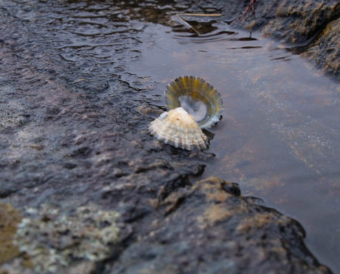 Nordlicht-Fotoreise Norwegen Nordlicht-Fotoreise Norwegen