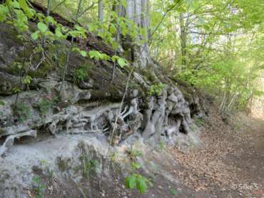 Fotowanderung im Naturschatz Gipskarst mit Foto-Wandern.com