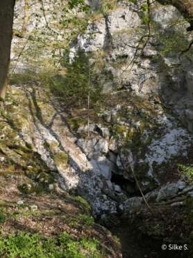 Fotowanderung im Naturschatz Gipskarst mit Foto-Wandern.com