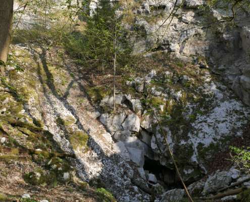 Fotowanderung im Naturschatz Gipskarst mit Foto-Wandern.com