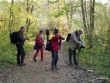 Fotowanderung im Naturschatz Gipskarst mit Foto-Wandern.com