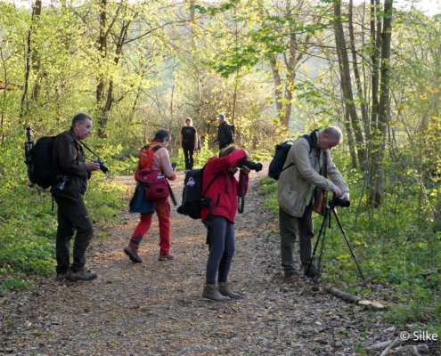 Fotowanderung im Naturschatz Gipskarst mit Foto-Wandern.com