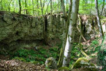 Fotowanderung in der Gipskarstlandschaft Hainholz