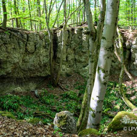 Fotowanderung in der Gipskarstlandschaft Hainholz