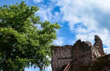 Fotoworkshop-Wochenende im Harz - Mai 2026