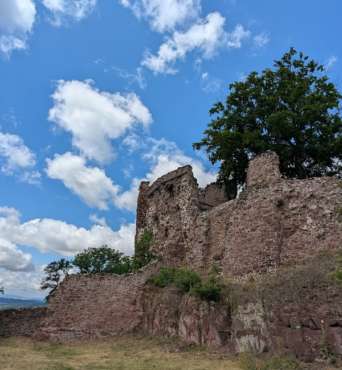 Fotoworkshop-Wochenende im Harz - Mai 2026