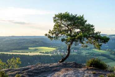Fotoreise Sächsische Schweiz mit Foto-Wandern.com