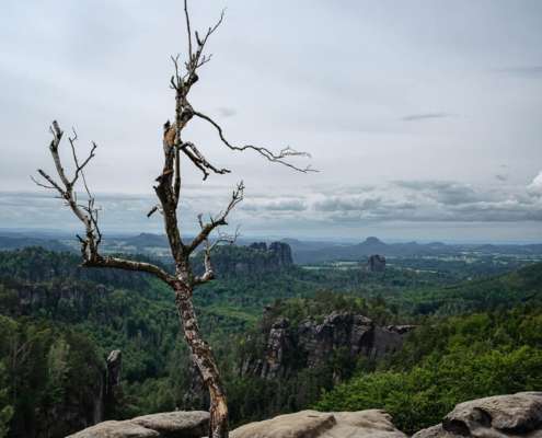 Fotoreise in die Sächsische Schweiz mit Foto-Wandern.com Fotoreise in die Sächsische Schweiz mit Foto-Wandern.com